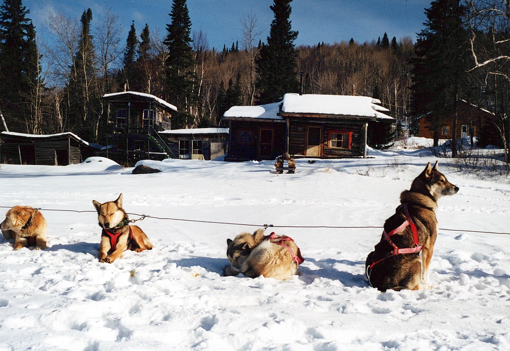 2001 - Canada 17.jpg